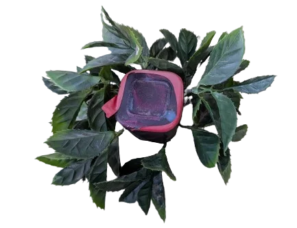 A Geocache disguised with fake plants
